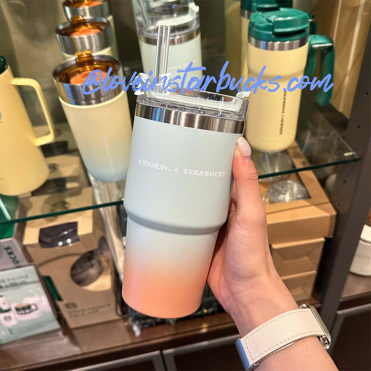 Starbucks Korea 2023 Disney 2nd wave series stanley Stainless Steel Straw Cup 20.08 oz Starbucks loveinstarbucks
