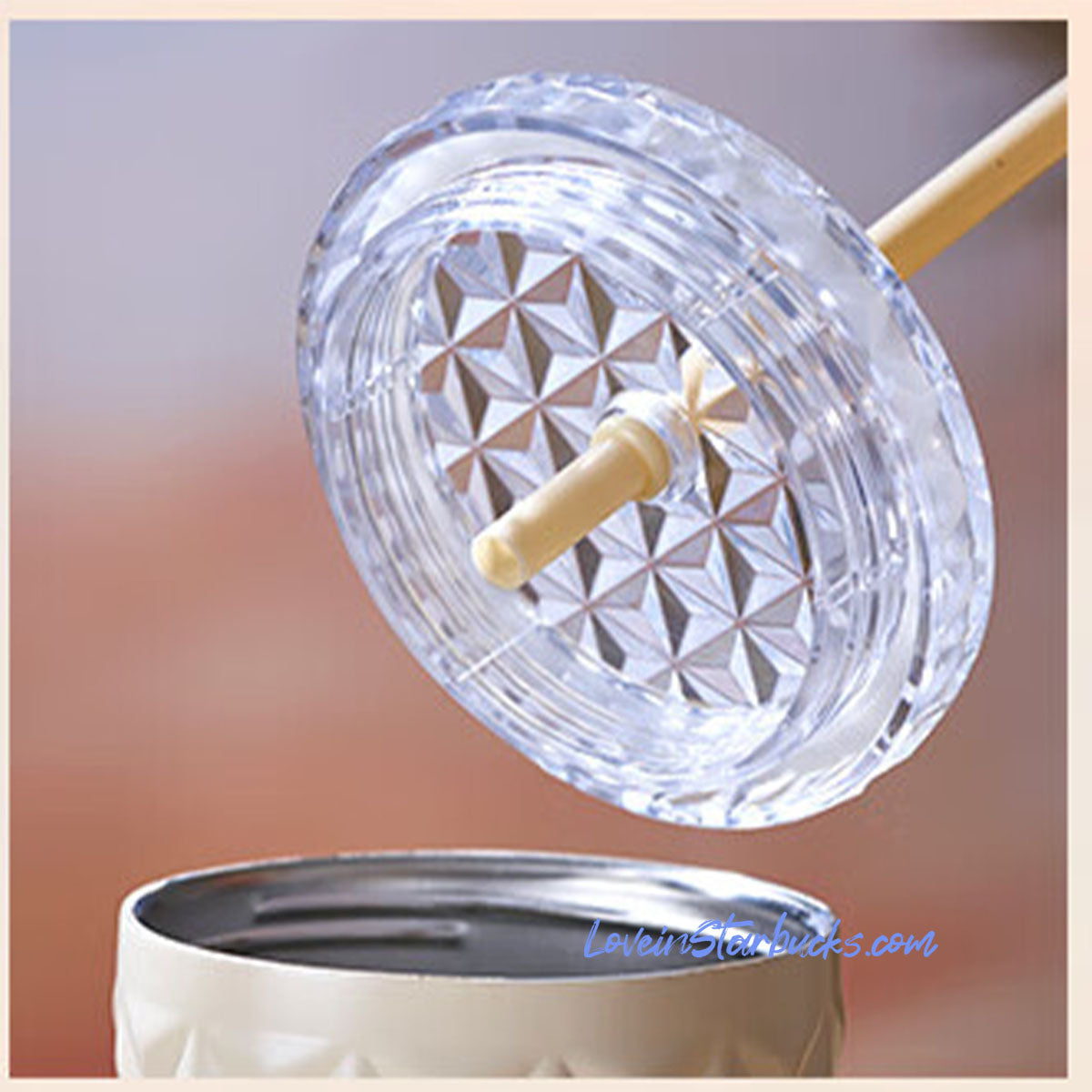 Starbucks China 2024 Sunset Dion Stainless steel cup 20oz Starbucks loveinstarbucks