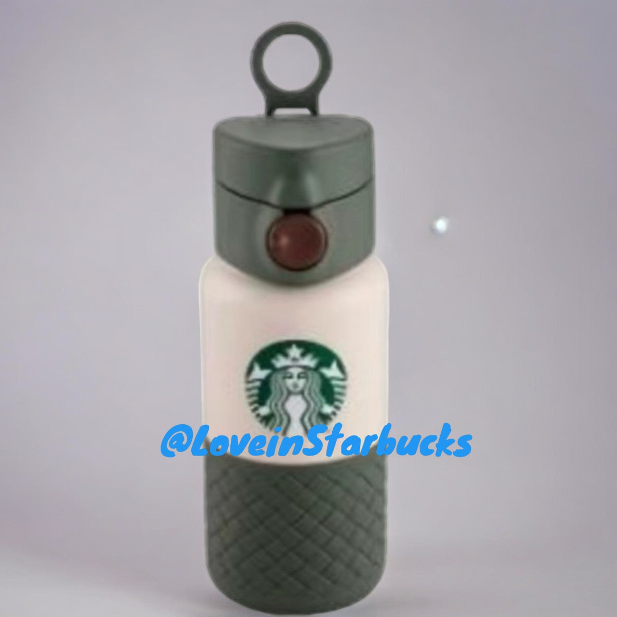 Starbucks Taiwan 2024 Alpaca series Retro green stainless steel cup 355ml Starbucks loveinstarbucks