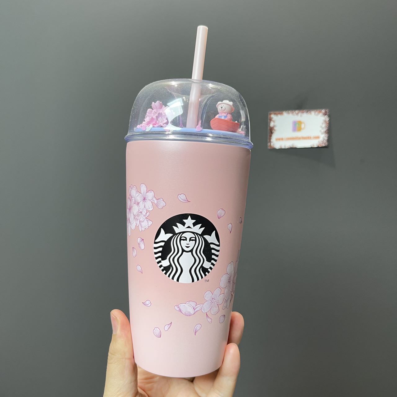 Starbucks Asia Cherry Stainless steel cup 16oz Starbucks loveinstarbucks