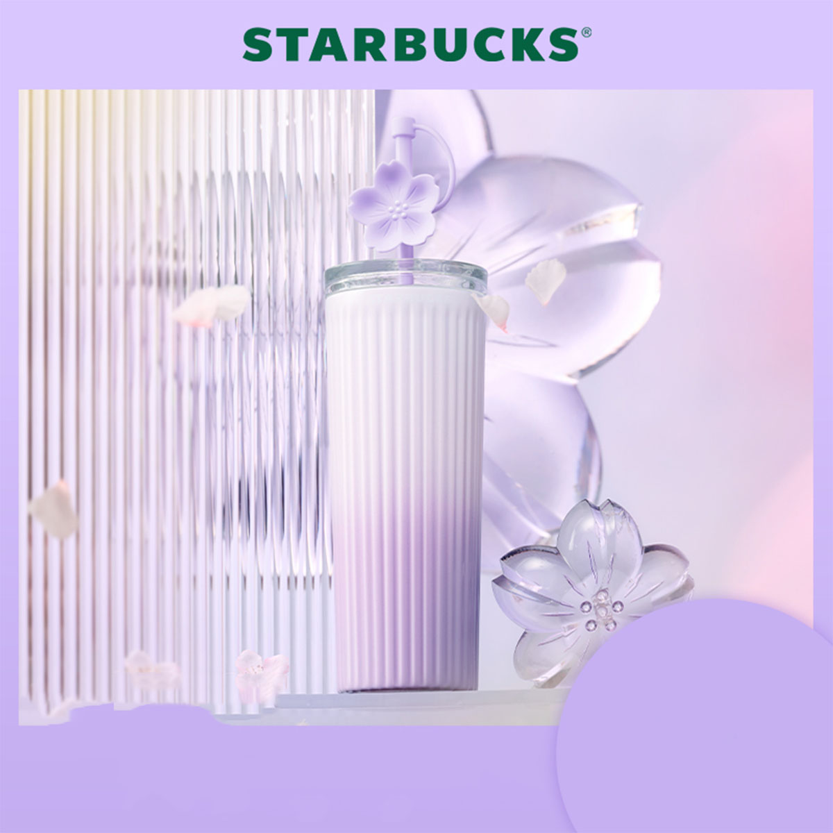 Starbucks China 2024 purple Ombre stripe straw cup 473ml coming with flower topper loveinstarbucks loveinstarbucks
