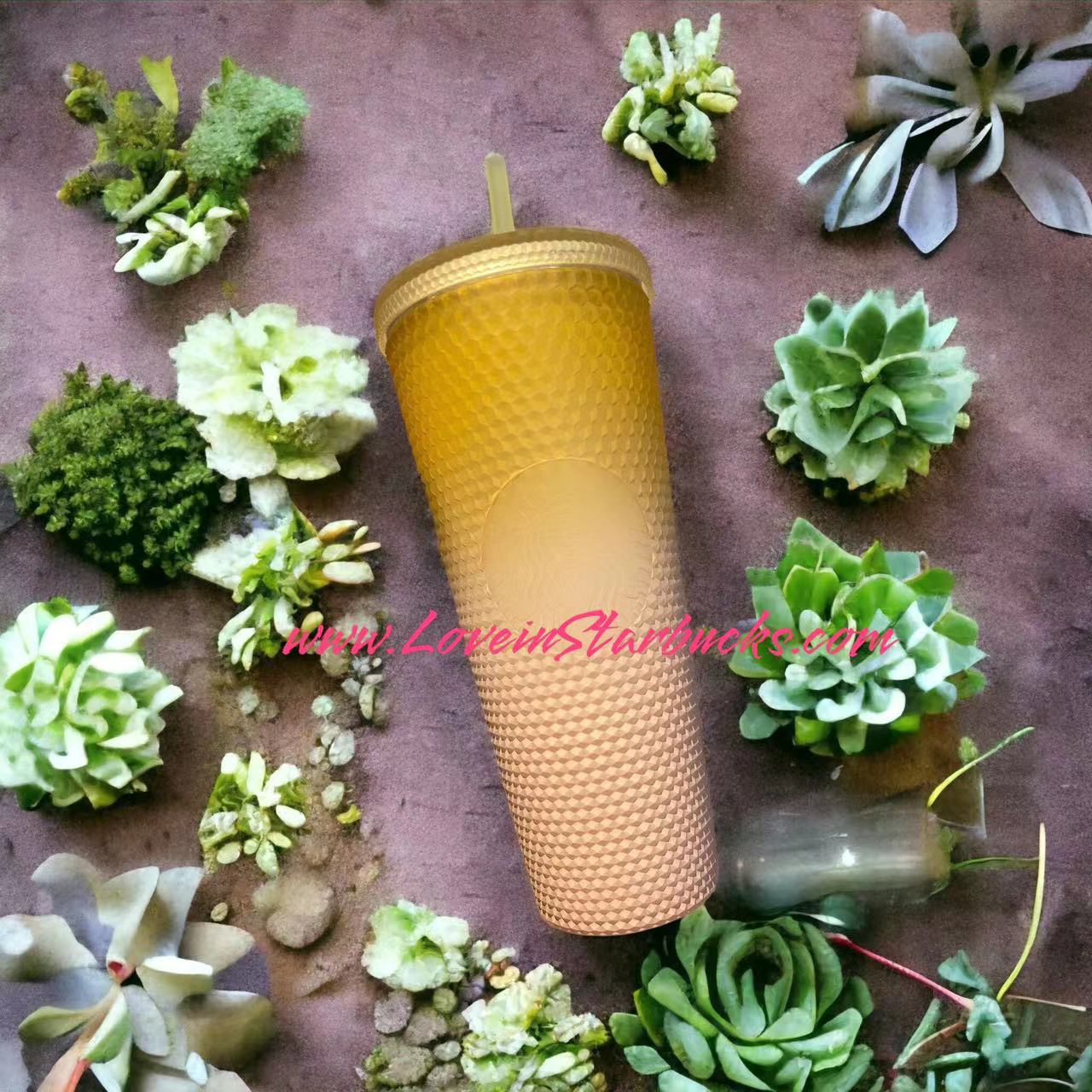 Starbucks Tumblers China 2023 Natural series yellow pink gradient studded straw cold cup 24oz Starbucks loveinstarbucks