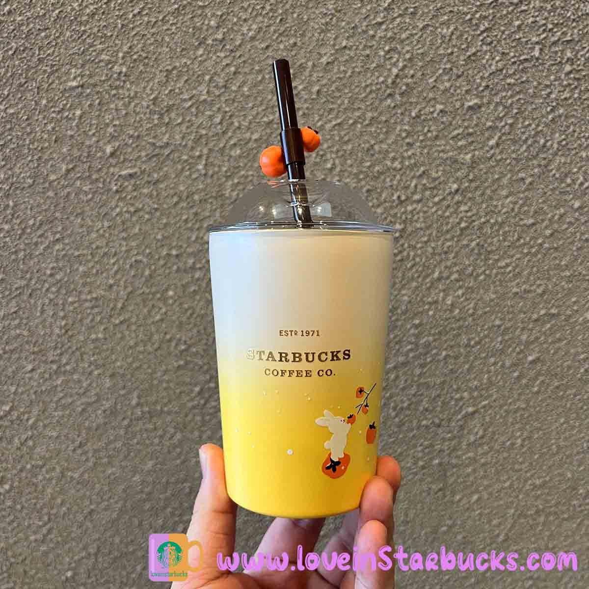 Starbucks tumblers China 2023 Lucky Rabbit new year Thermos stainless steel tumbler 360ml Starbucks loveinstarbucks
