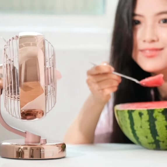 Starbucks Lofree 2024 co-brand USB rechargeable electric fan , cannot ship to APO HI AK address loveinstarbucks loveinstarbucks