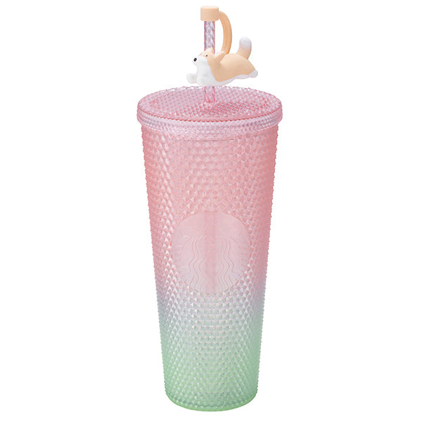 Starbucks Taiwan 2026 Sakura series Corgi TOGO straw cup 710ml