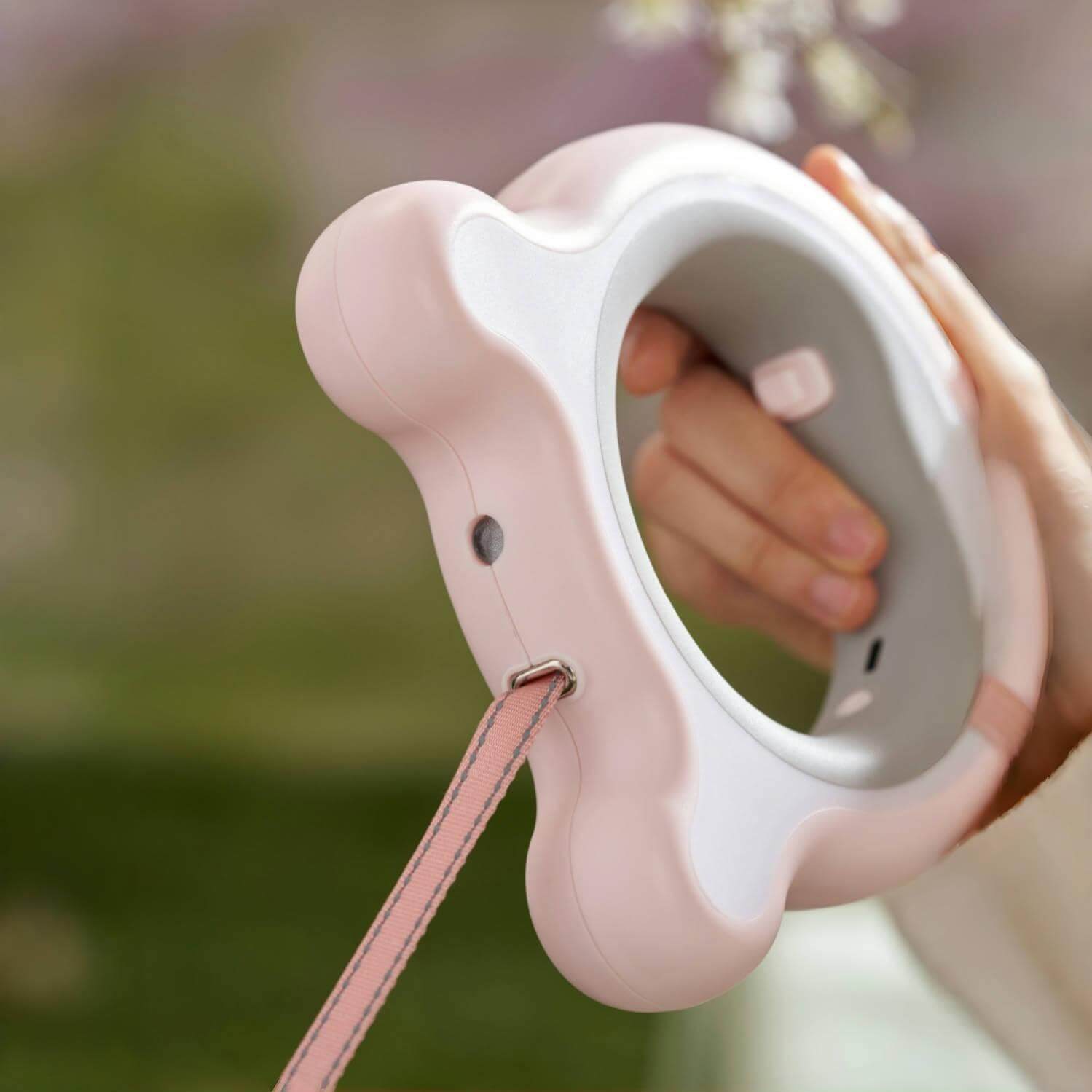 Starbucks China 2024 spring walk series Animal collars and leashes loveinstarbucks loveinstarbucks