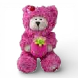 Starbucks Taiwan 2026 Year of the Horse New Year series Hug the Bear Doll