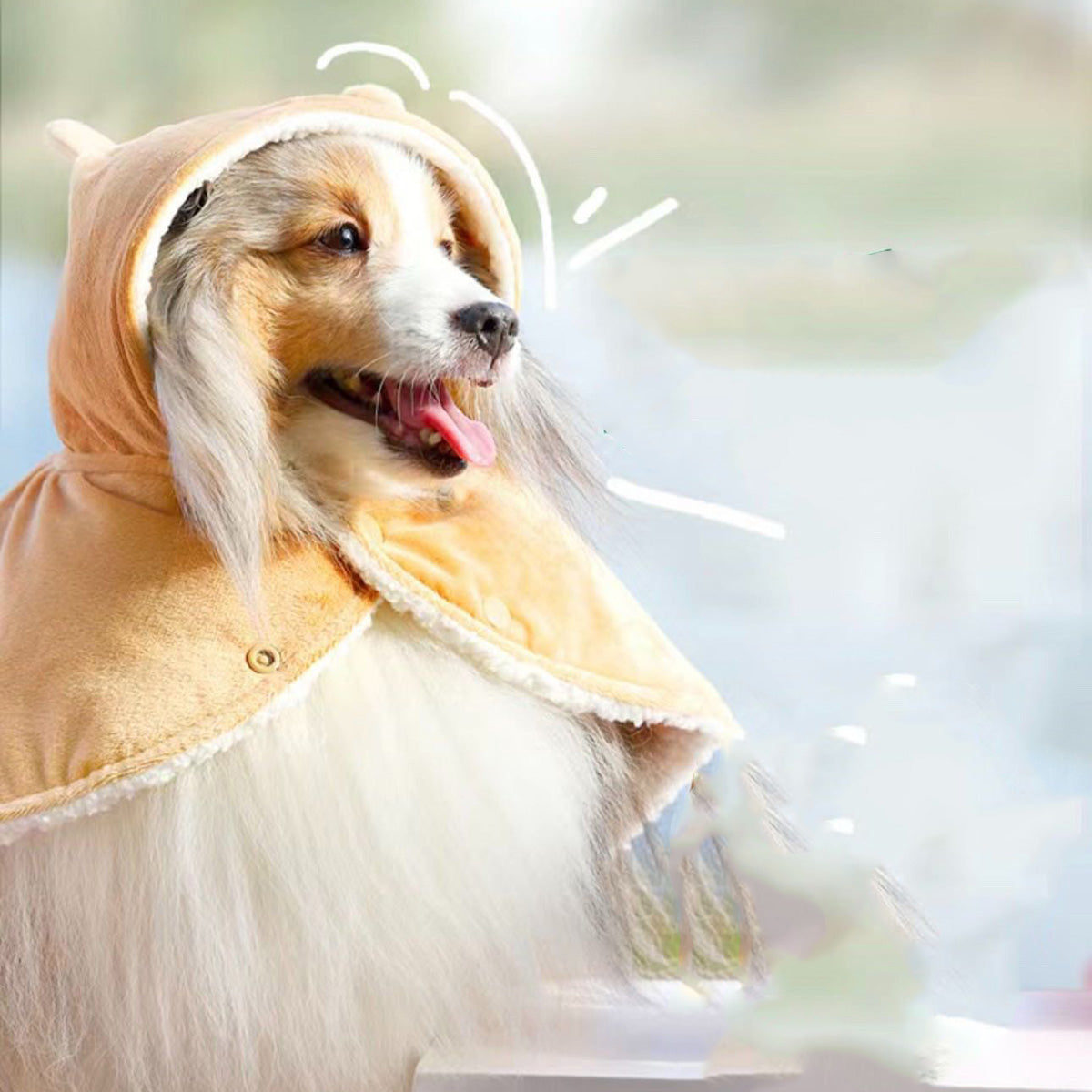 Starbucks 2023 Christmas Pet Cape not including dog and bear toy loveinstarbucks loveinstarbucks
