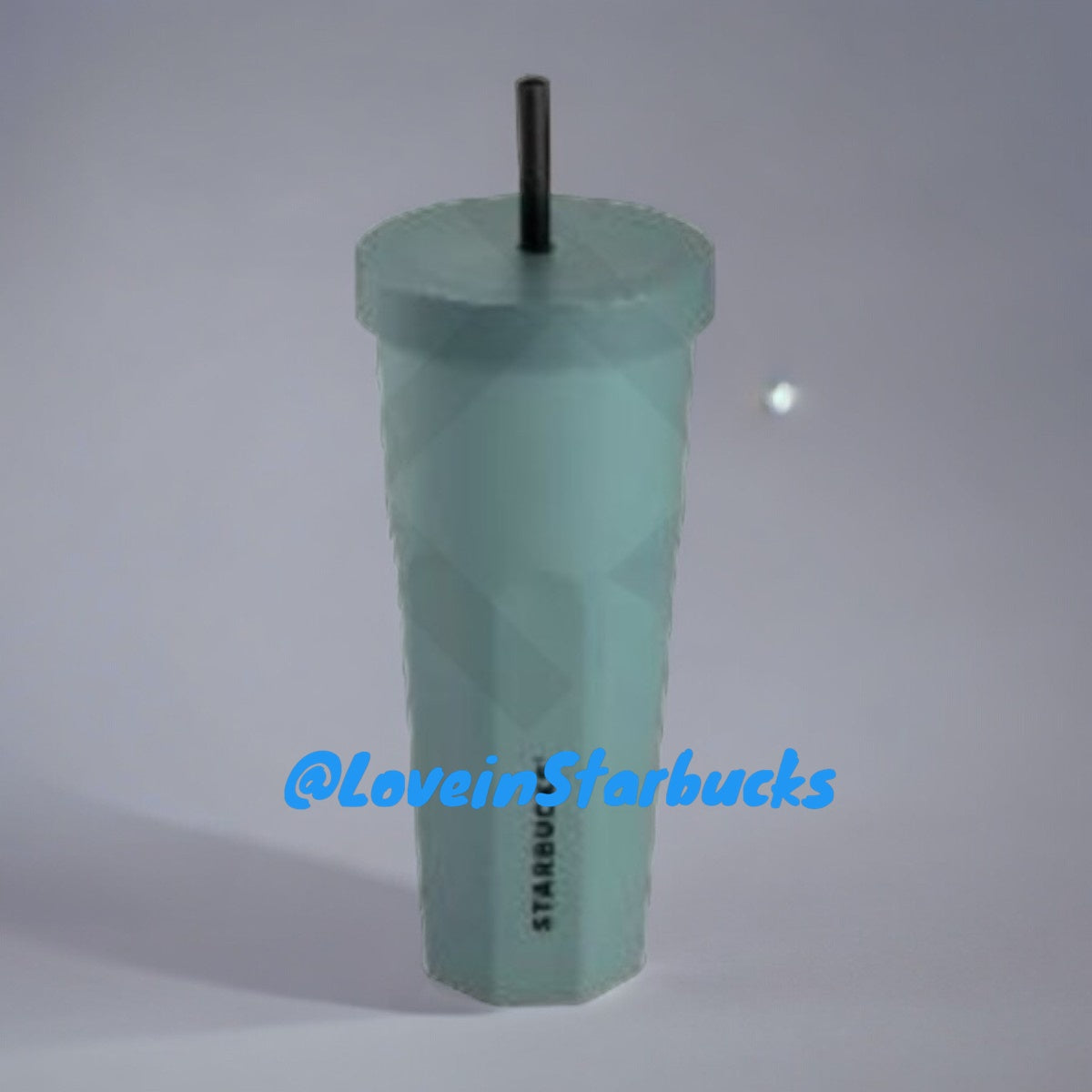 Starbucks Taiwan 2024 Alpaca series turquoise Star Plant Sense cup 414ml Starbucks loveinstarbucks