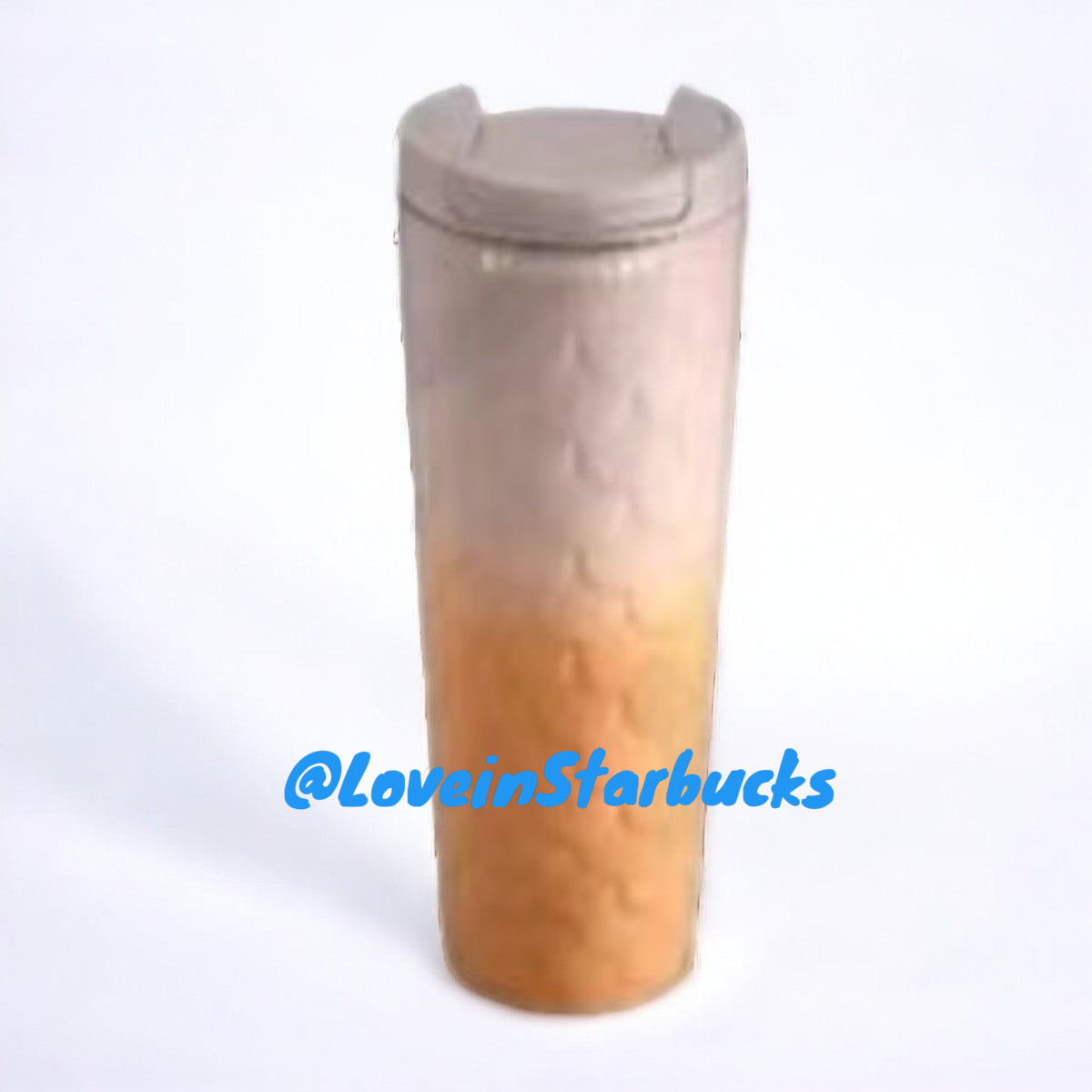 Starbucks Taiwan 2024 ocean series Ombre brown scale stainless steel cup 591ml Starbucks loveinstarbucks