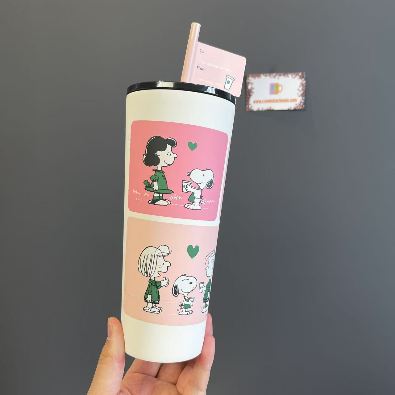 Starbucks and PEANUTS 2025 co-brand Stainless steel cup 710ml - please read details