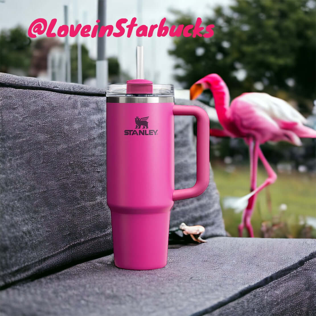 Stanley flamingo pink Fuchsia stainless steel cup 30oz loveinstarbucks loveinstarbucks