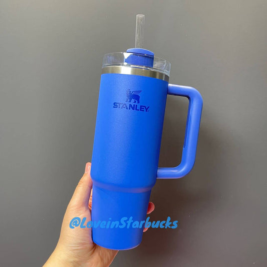 Stanley Quencher H2.0 30oz Tumbler Klein cup loveinstarbucks loveinstarbucks