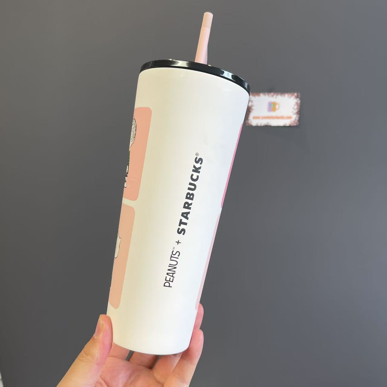 Starbucks and PEANUTS 2025 co-brand Stainless steel cup 710ml - please read details