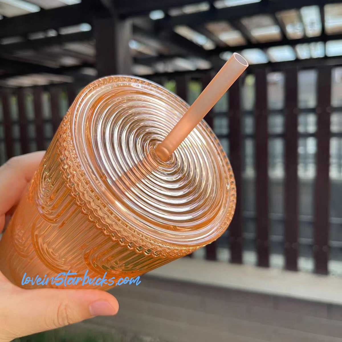 Starbucks Taiwan 2023 Protecting Marine Series yellow green shell scale cup 24oz Starbucks loveinstarbucks