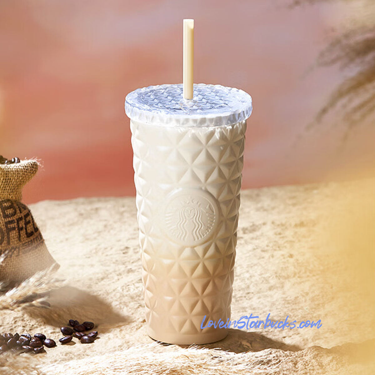 Starbucks China 2024 Sunset Dion Stainless steel cup 20oz Starbucks loveinstarbucks