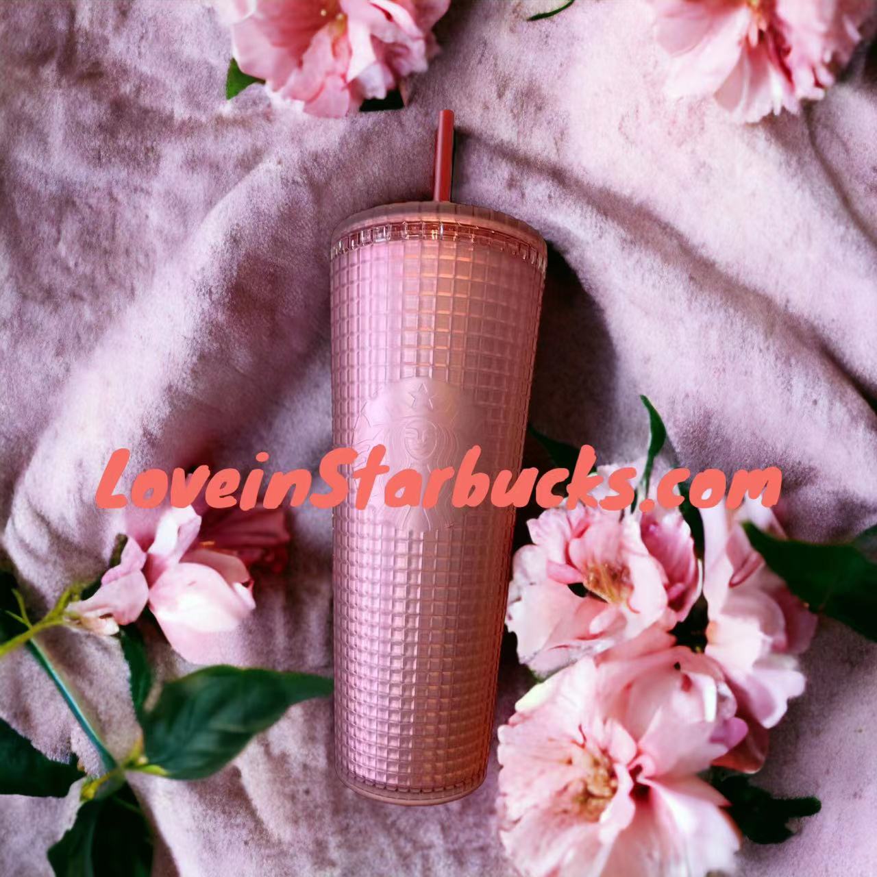 Starbucks Taiwan 2023 Protecting Marine Series pink cold water straw gird cup 24oz Starbucks loveinstarbucks