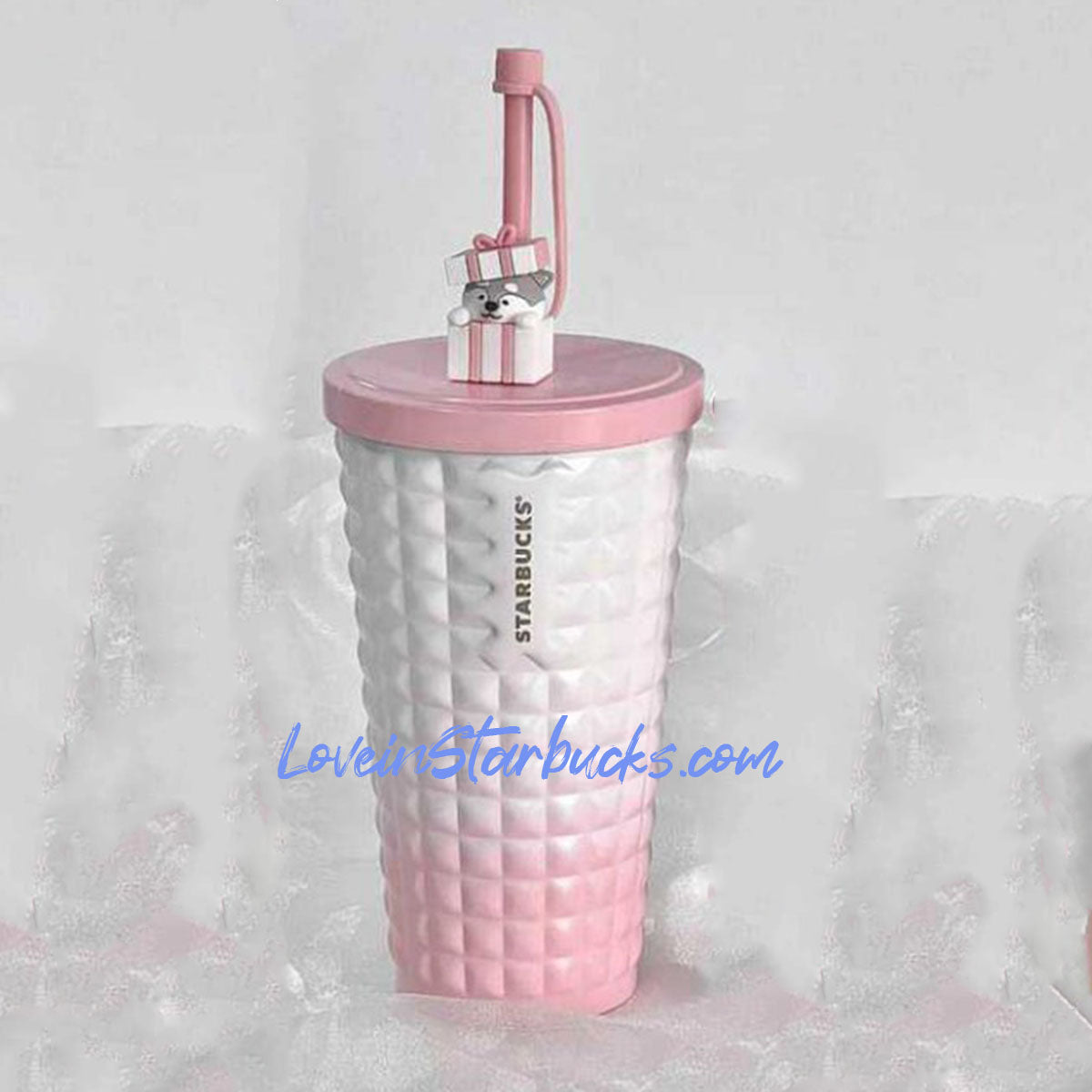 Starbucks China 2023 Christmas cute pet series gradient pink stainless steel cup Starbucks loveinstarbucks
