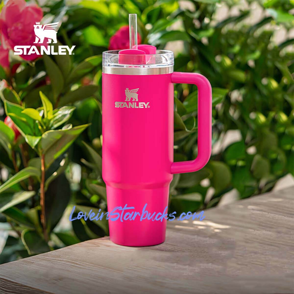 Stanley China 2024 Camelia pink Stainless steel cup 30oz loveinstarbucks loveinstarbucks