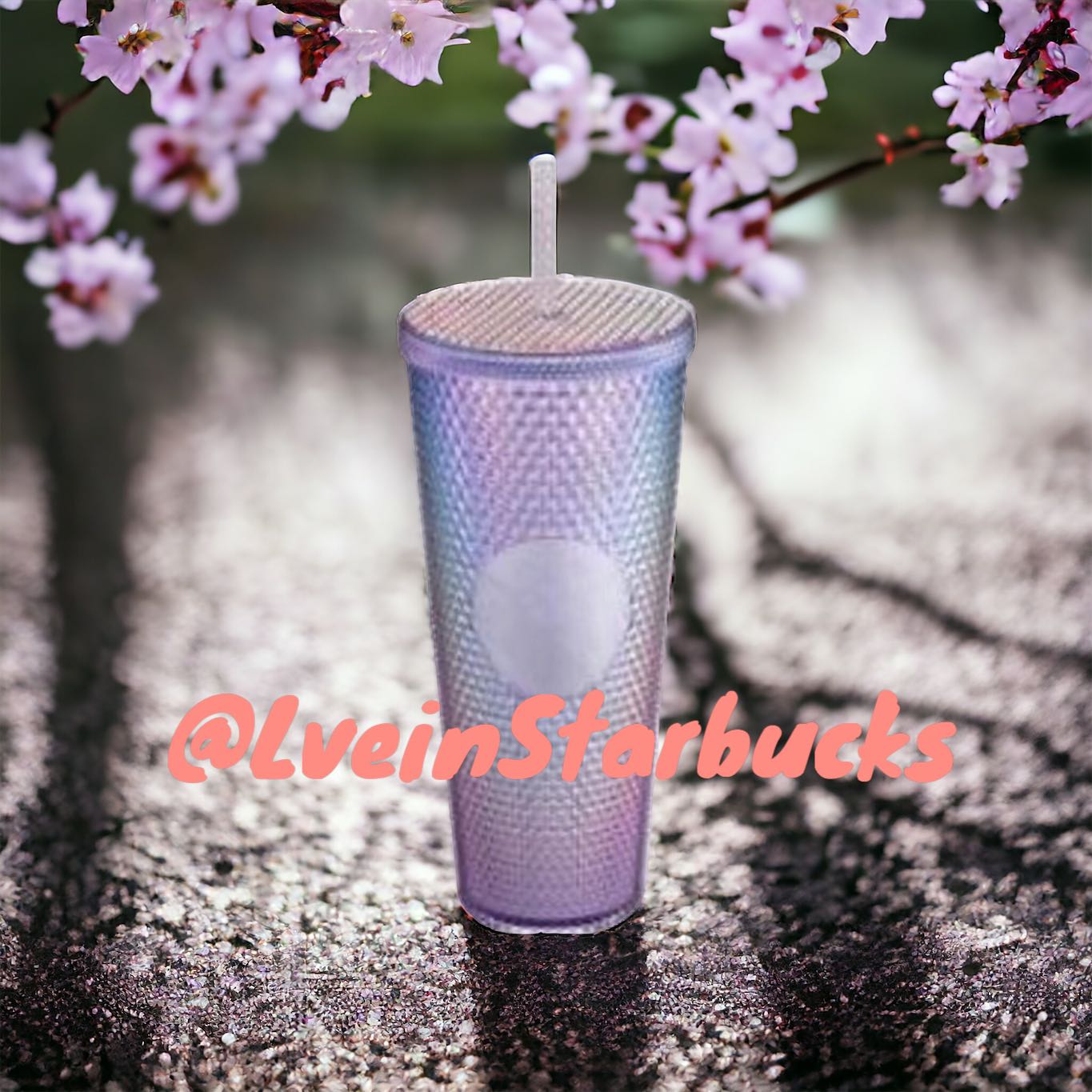 Starbucks Taiwan 2024 Sakura series Colorful studded straw cup 24oz loveinstarbucks loveinstarbucks