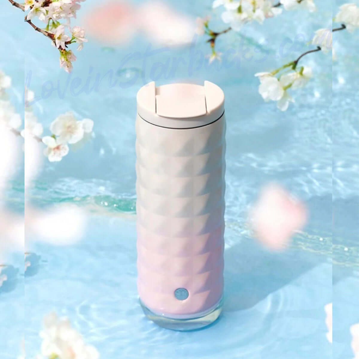 Starbucks China 2024 Sakura online stainless steel desktop cup 473ml loveinstarbucks loveinstarbucks