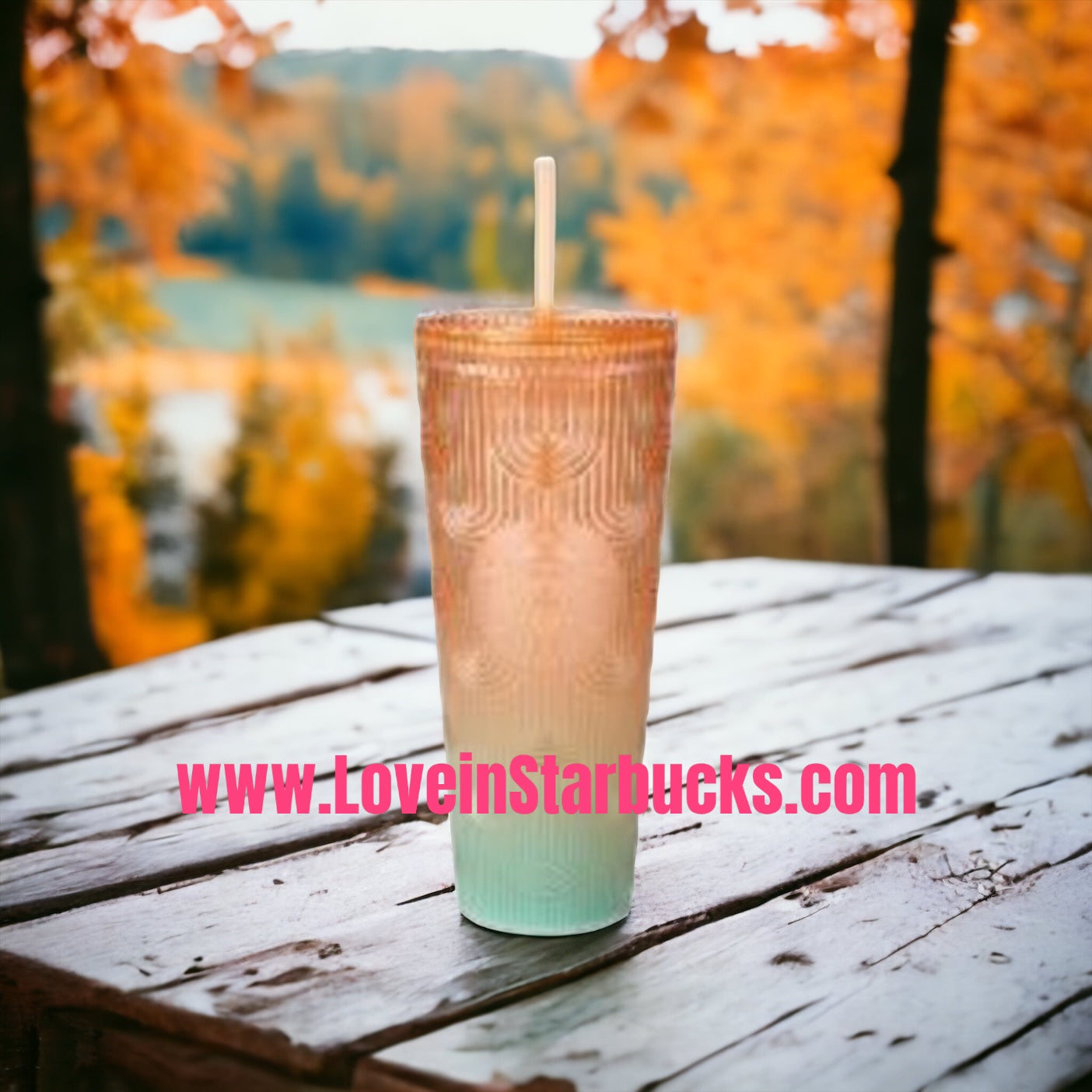 Starbucks Taiwan 2023 Protecting Marine Series yellow green shell scale cup 24oz Starbucks loveinstarbucks