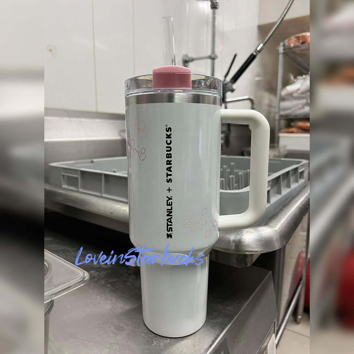 Starbucks Stanley 2024 Philippines Cream Sakura stainless steel cup 40oz loveinstarbucks loveinstarbucks