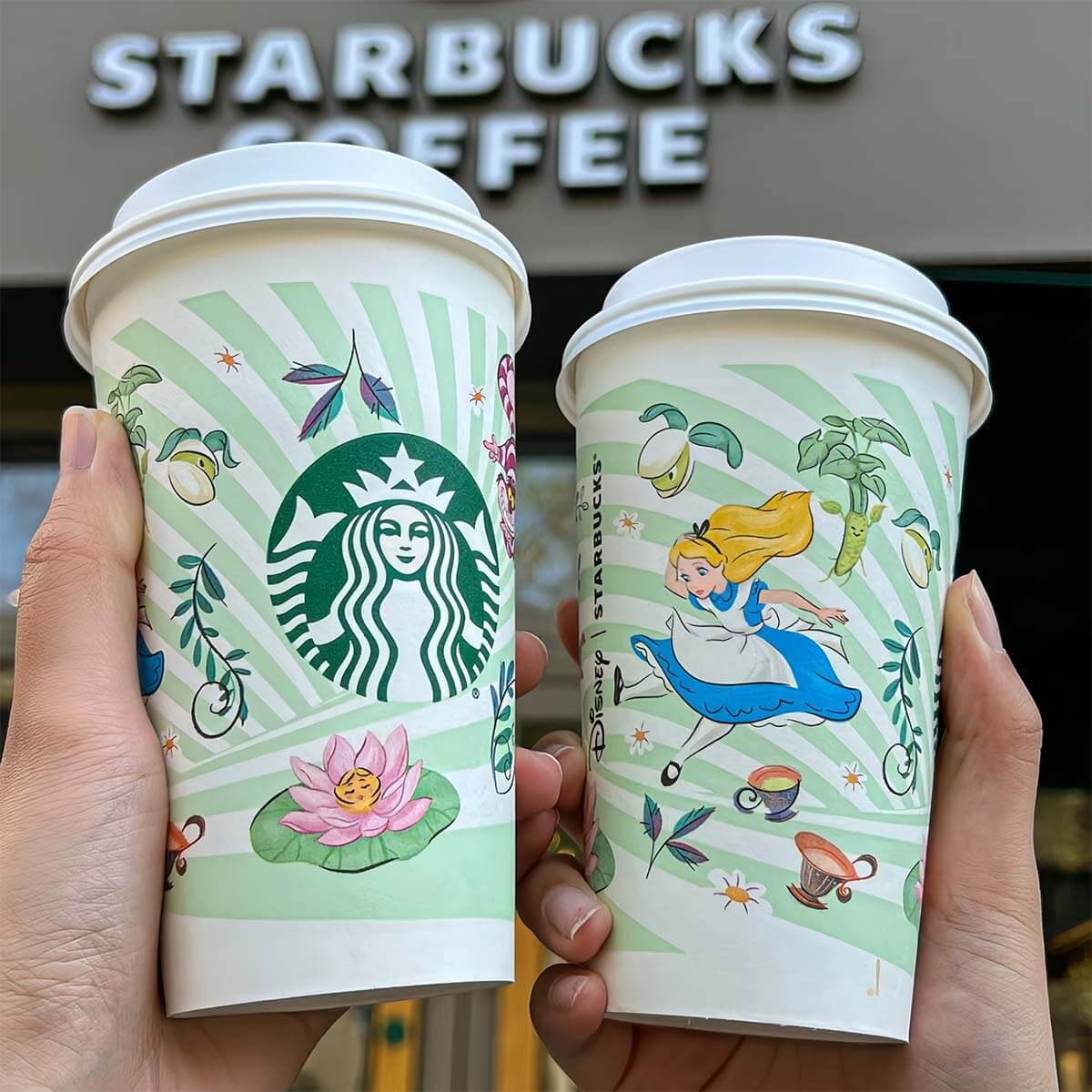 Starbucks Disney 2024 Alice series disposable paper cups DIY 4PCS loveinstarbucks loveinstarbucks