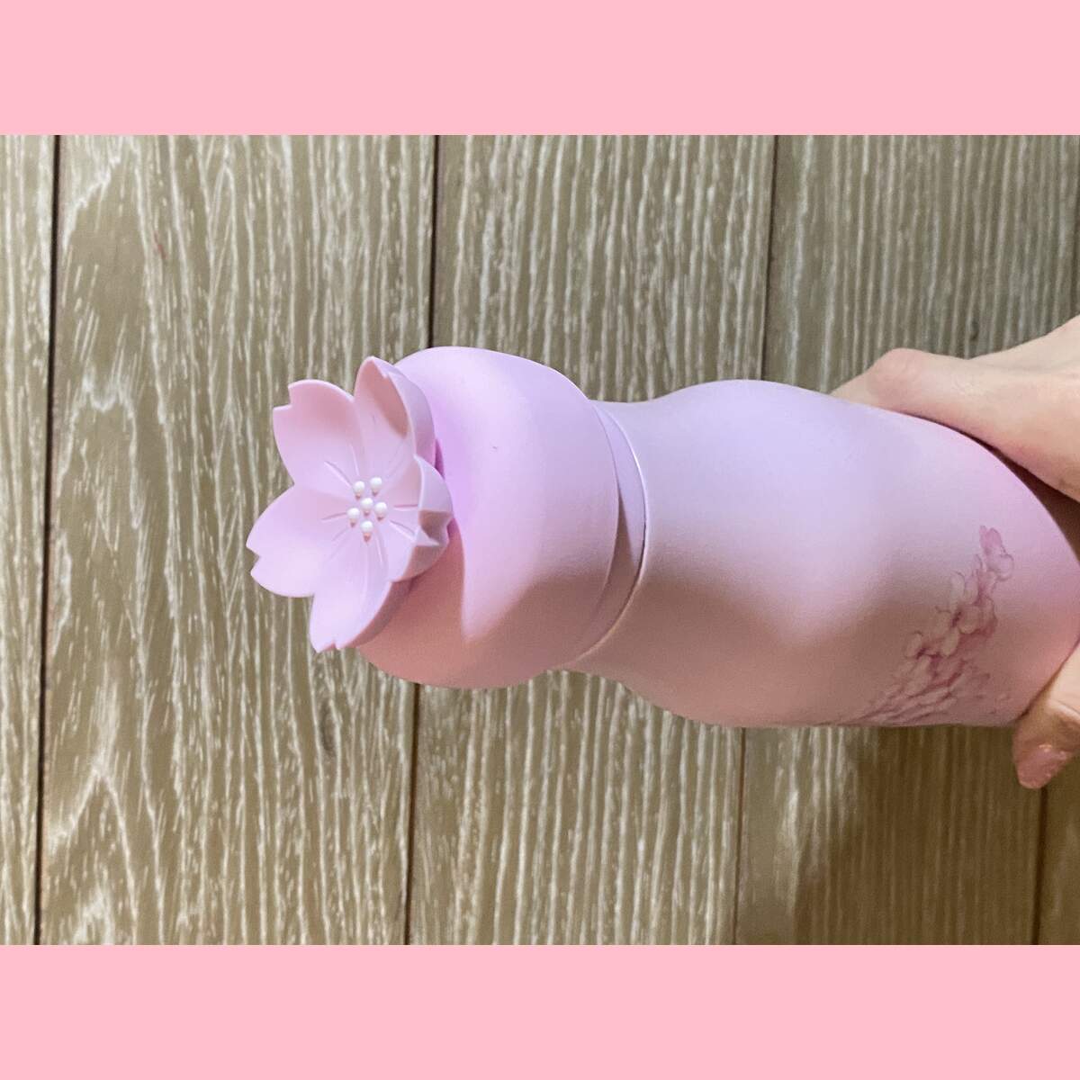 Starbucks Taiwan 2024 Sakura series stainless steel cup 473ml loveinstarbucks loveinstarbucks