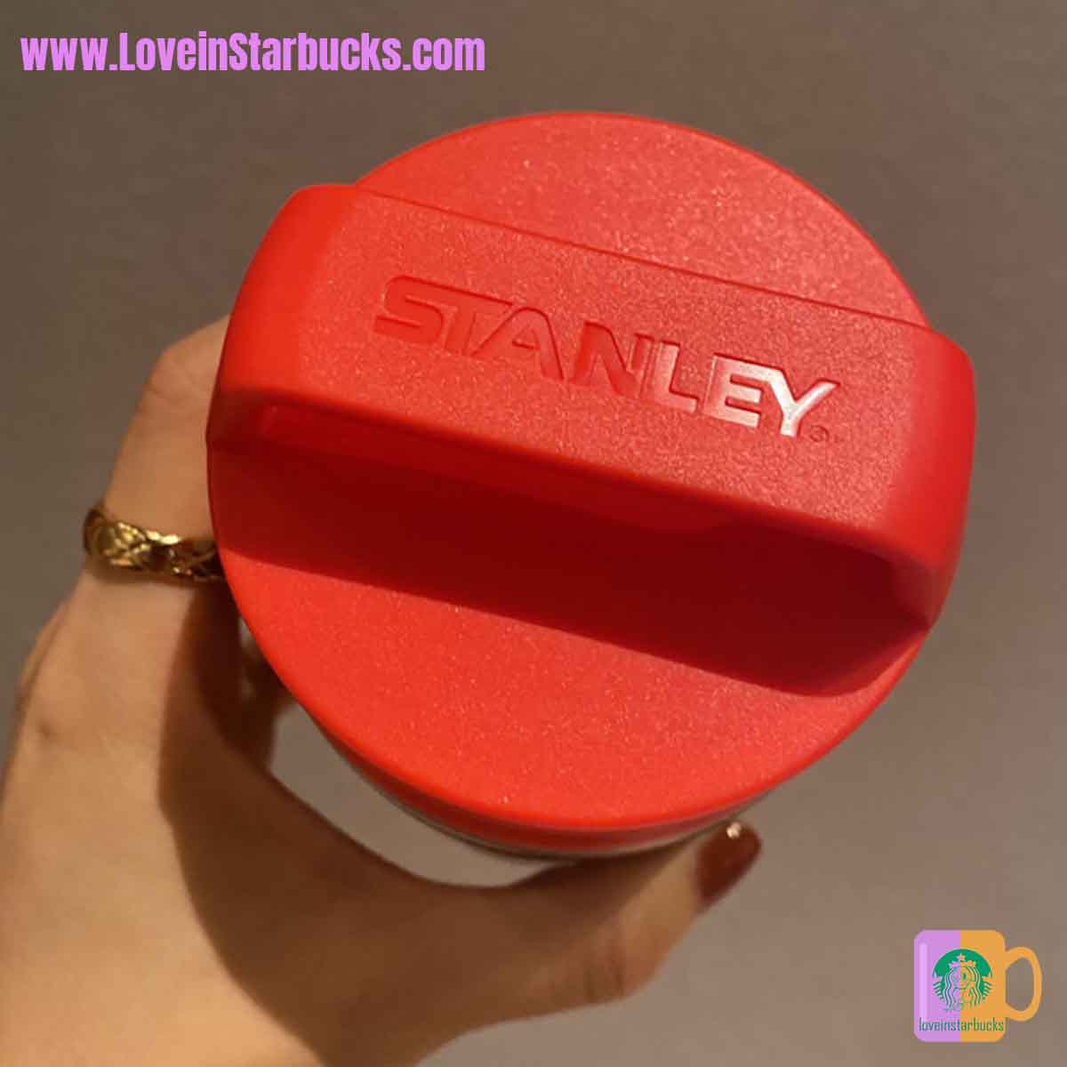Starbucks tumblers China 2020 Xmas Stanley portable stainless steel cup 236ml Starbucks loveinstarbucks