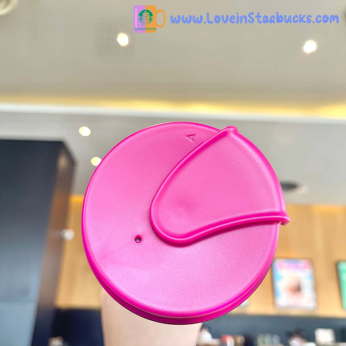 Starbucks 2023 China kate spade co-branded cat accompanying cup 355ml Starbucks loveinstarbucks