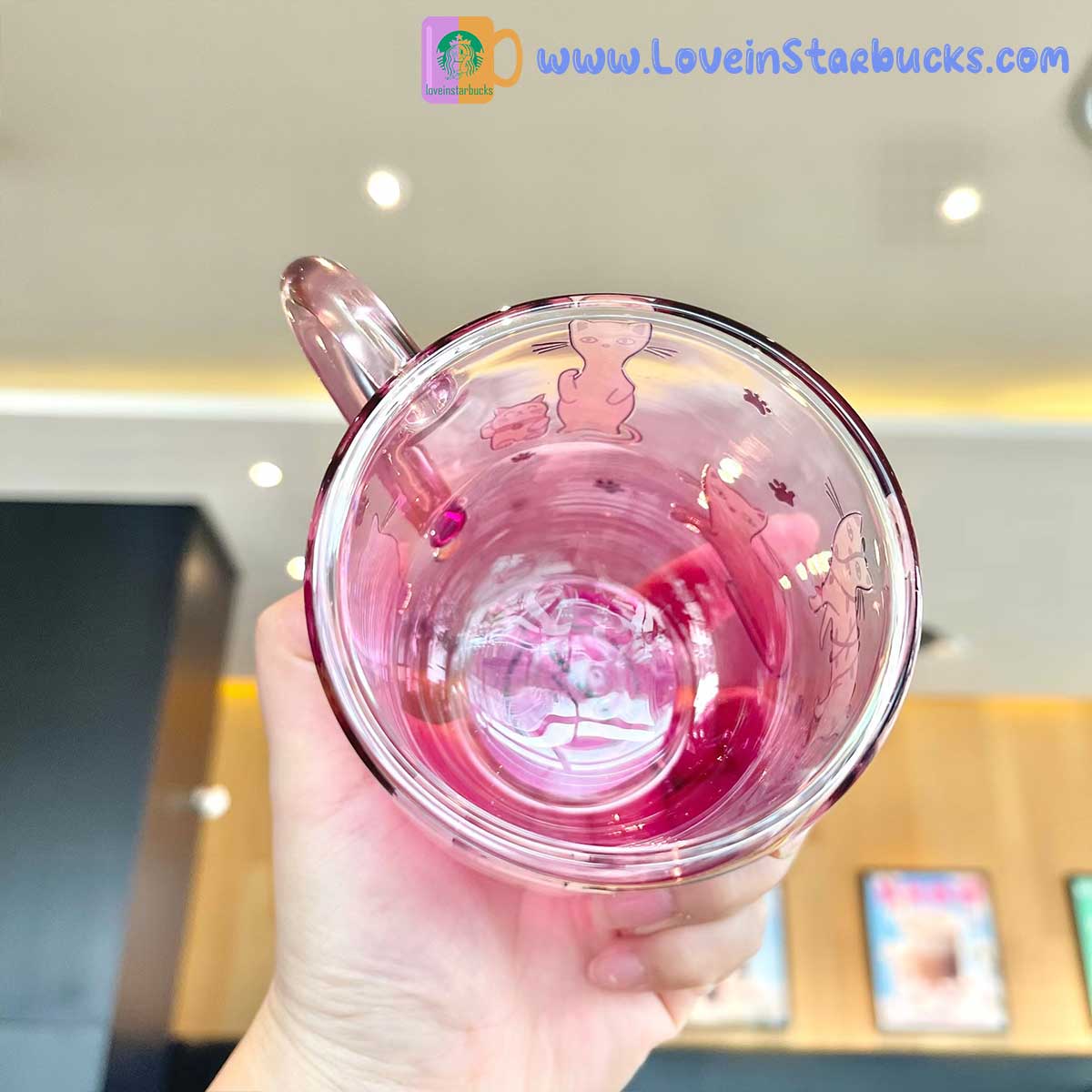 Starbucks 2023 China kate spade co-branded cat glass 275ml Starbucks loveinstarbucks