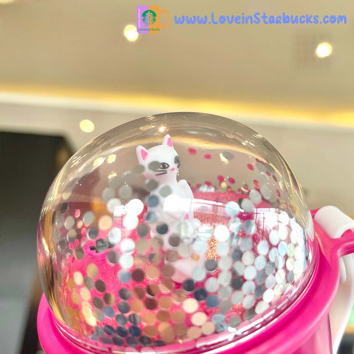 Starbucks tumblers 2023 China kate spade co-branded cat red stainless steel cup 355ml Starbucks loveinstarbucks