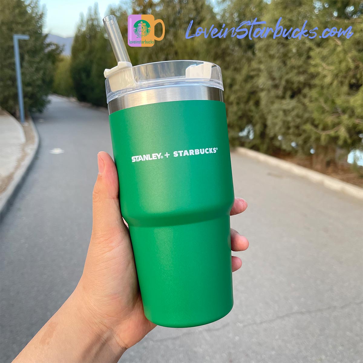 Starbucks tumblers Korea Stanley Green Stainless Steel Straw Cup 20.8oz Starbucks loveinstarbucks