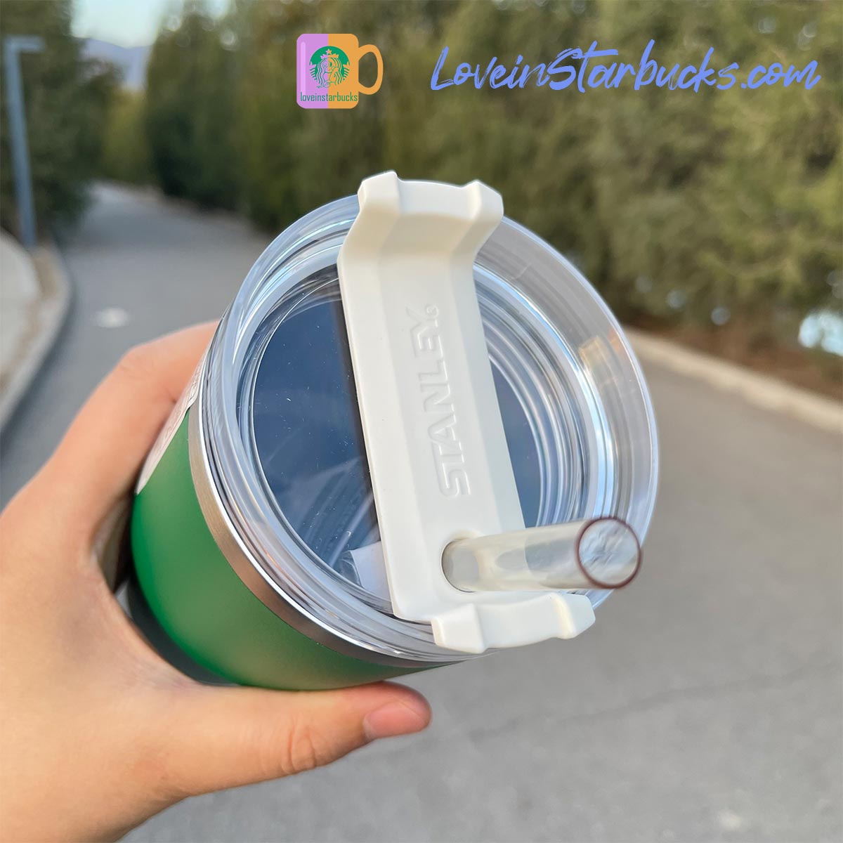 Starbucks tumblers Korea Stanley Green Stainless Steel Straw Cup 20.8oz Starbucks loveinstarbucks