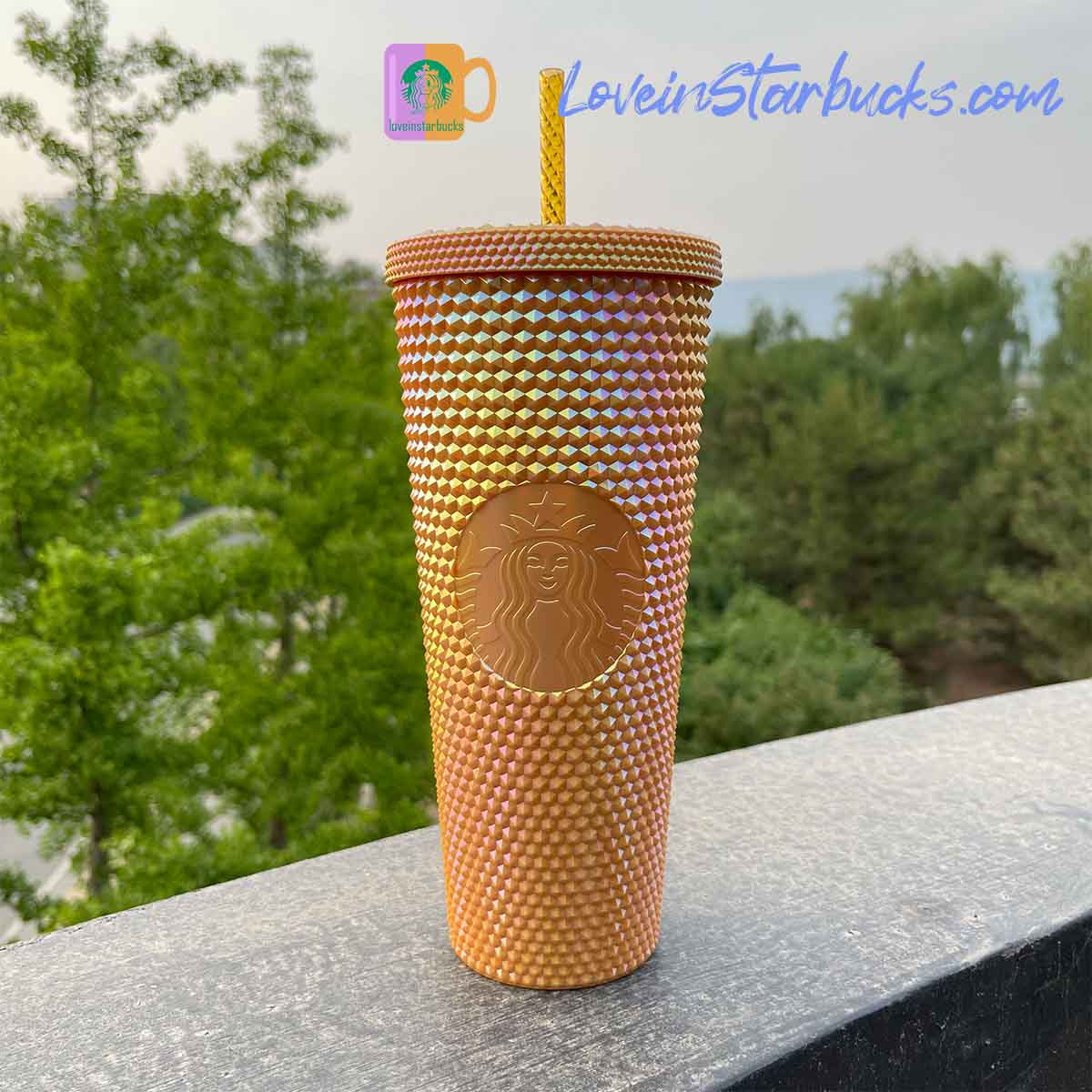 Starbucks Tumblers Indonesia 2023 Turquoise Mustard and Pistachio studded straw cup 24oz Starbucks loveinstarbucks