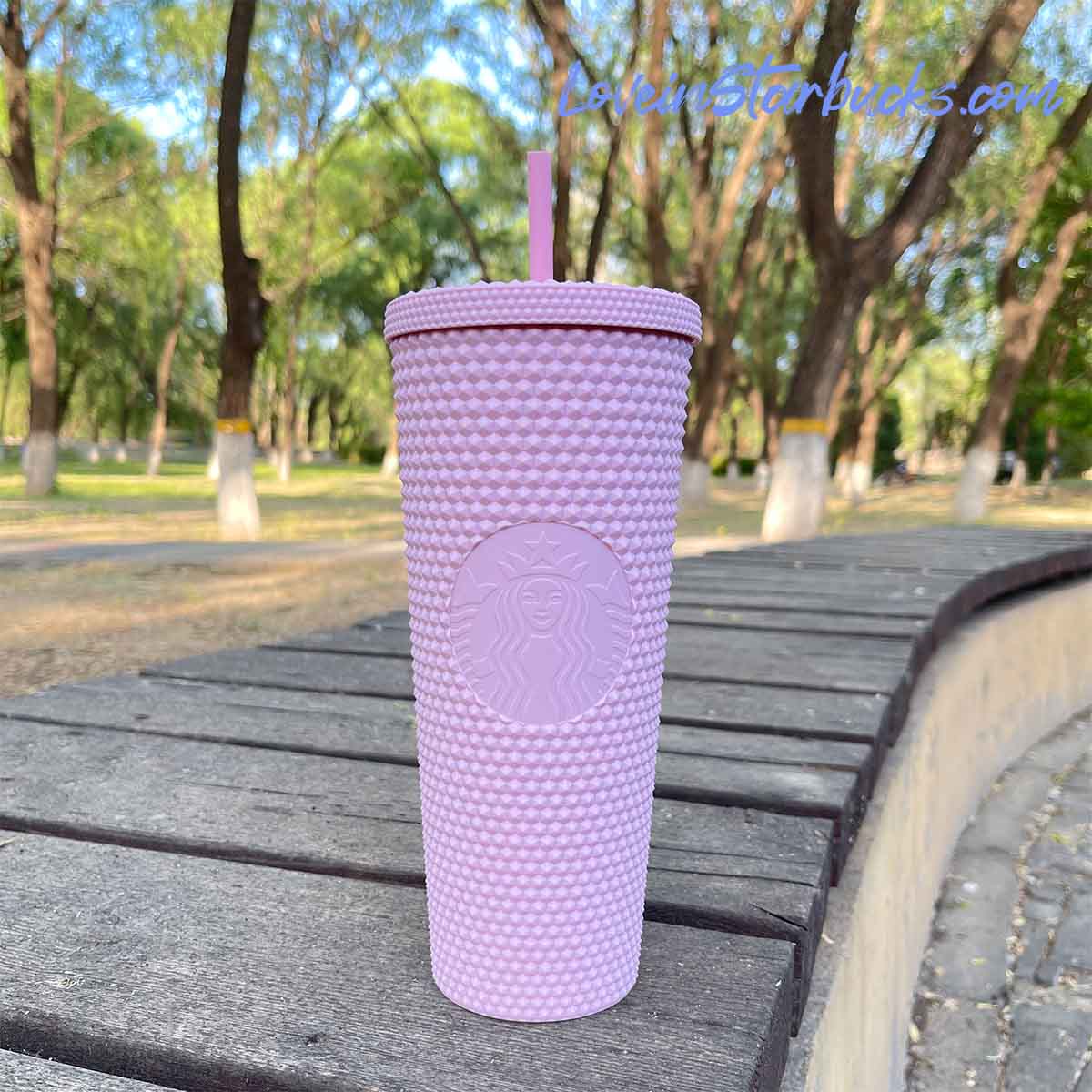 Starbucks Indonesia Soft Pink & ICY Blue 24oz studded straw cups Starbucks loveinstarbucks