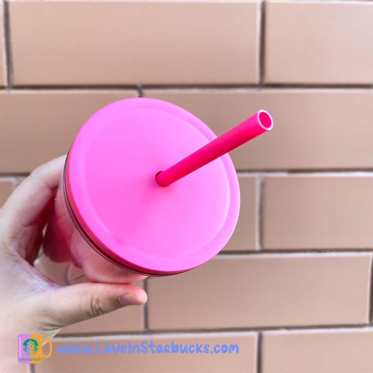 on sale Starbucks Tumblers Taiwan 2023 new year TOGO bunny red Straw cup Starbucks loveinstarbucks