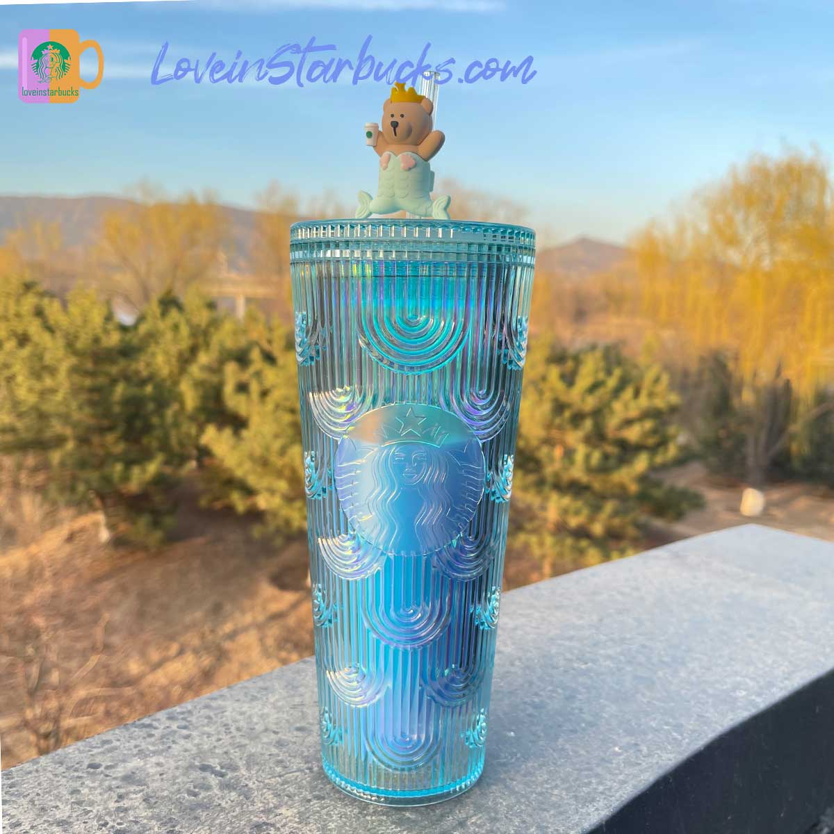 Starbucks Taiwan tumblers bear top-per mint scale cold straw cup 24oz Starbucks loveinstarbucks