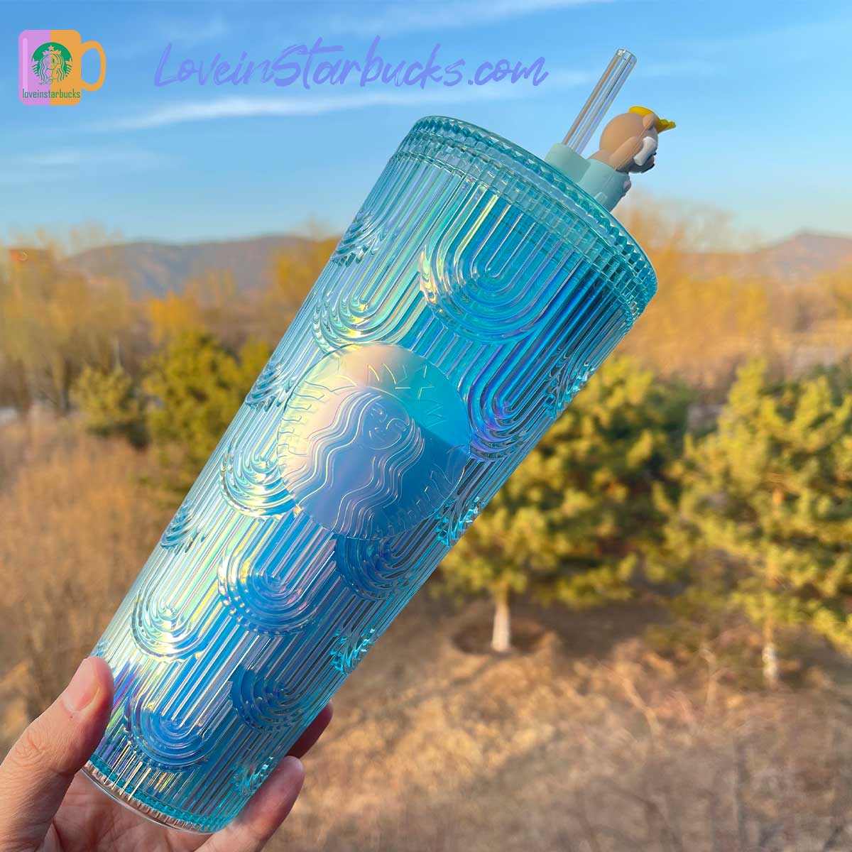 Starbucks Taiwan tumblers bear top-per mint scale cold straw cup 24oz Starbucks loveinstarbucks