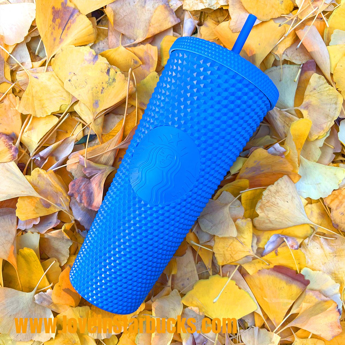 Starbucks China 2022 Ski series - Klein blue studded straw cold cup 24oz venti tumbler Starbucks loveinstarbucks