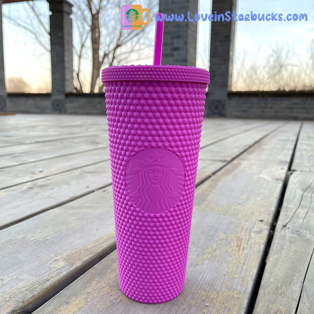 Starbucks Taiwan purple matte straw studded cup 24oz Starbucks loveinstarbucks