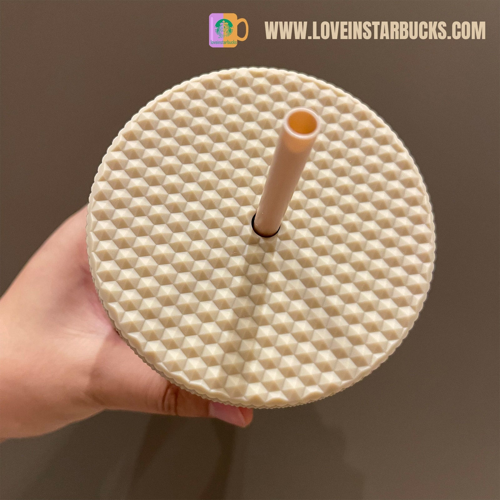 Starbucks warm autumn afterglow milk tea studded straw cup 24oz Starbucks loveinstarbucks