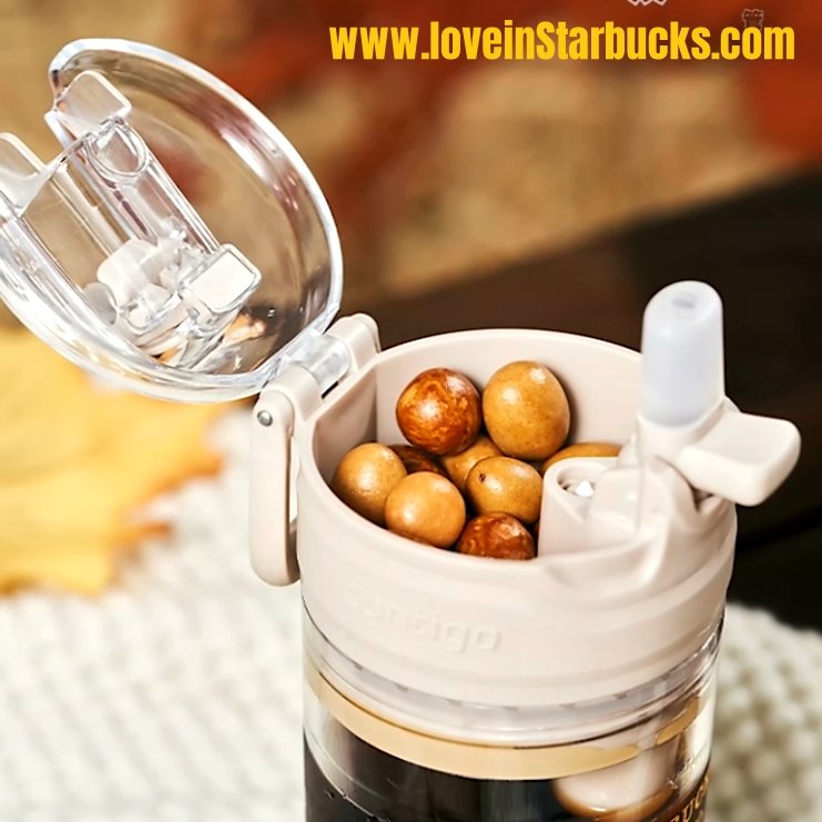 Starbucks 2022 autumn forest Snack Contigo Box Straw Cup 415ml Starbucks loveinstarbucks